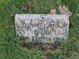 image of grave number 456318